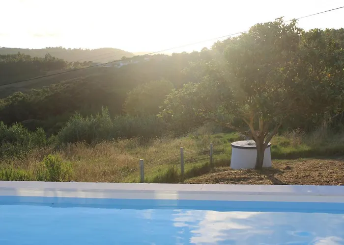 Ricardo Willa Alcobaça